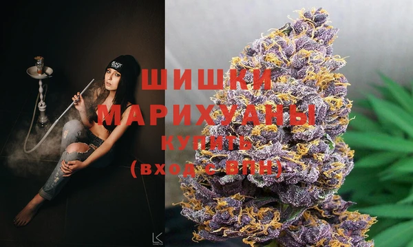 Альфа ПВП Алзамай