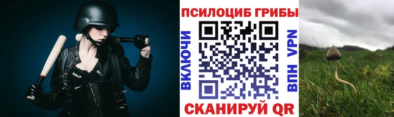 blacksprut ТОР  Котельники  Псилоцибиновые грибы мухоморы 