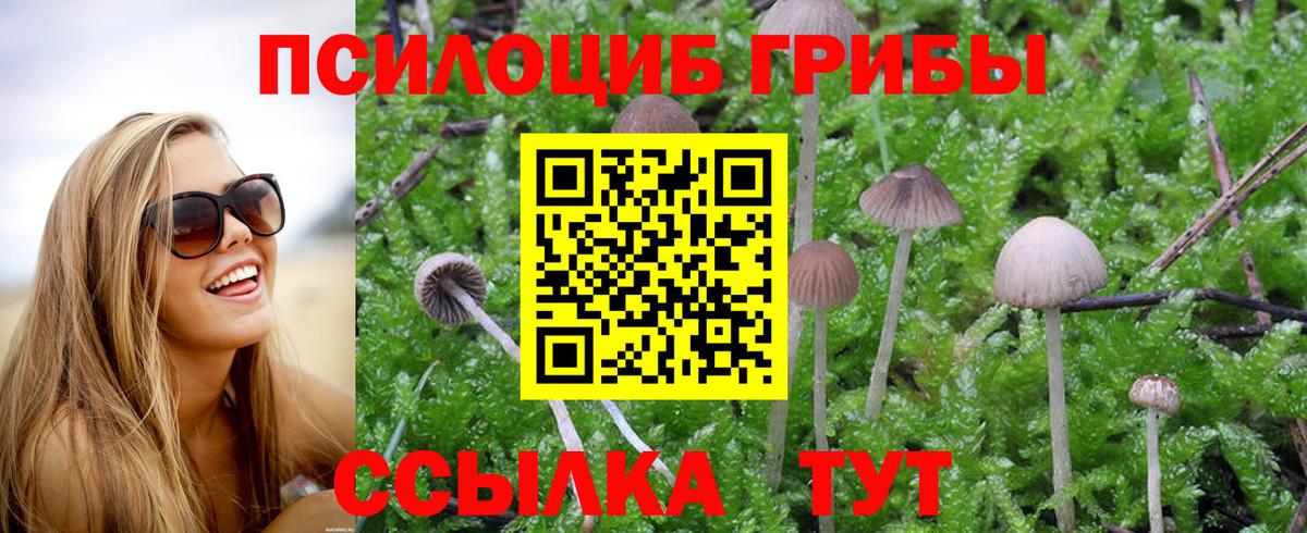 Галлюциногенные грибы мухоморы  Вход с VPN  Котельники 